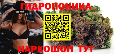 прущие крисы Тверь