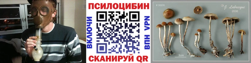 OMG зеркало  закладка  Усолье-Сибирское  Галлюциногенные грибы Cubensis 