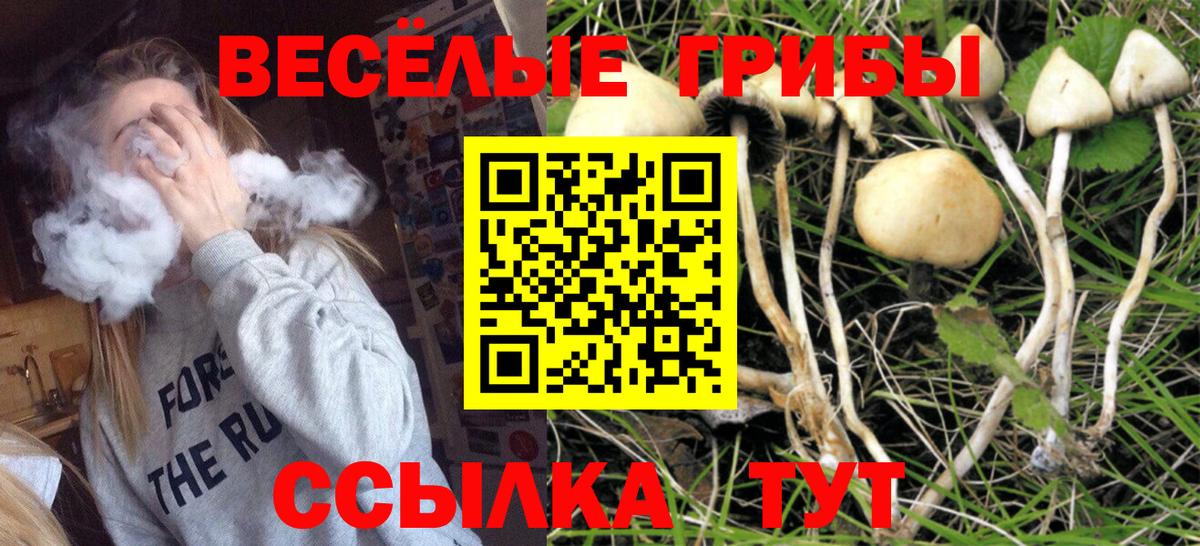 Галлюциногенные грибы GOLDEN TEACHER Усолье-Сибирское