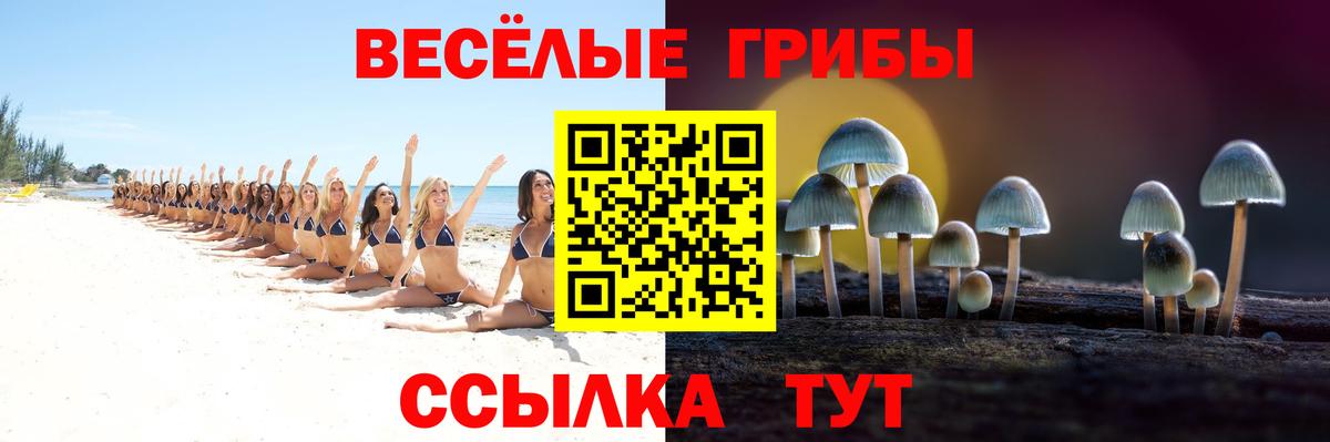 Галлюциногенные грибы ЛСД  Вход с VPN  Псилоцибиновые грибы прущие грибы  Усолье-Сибирское 